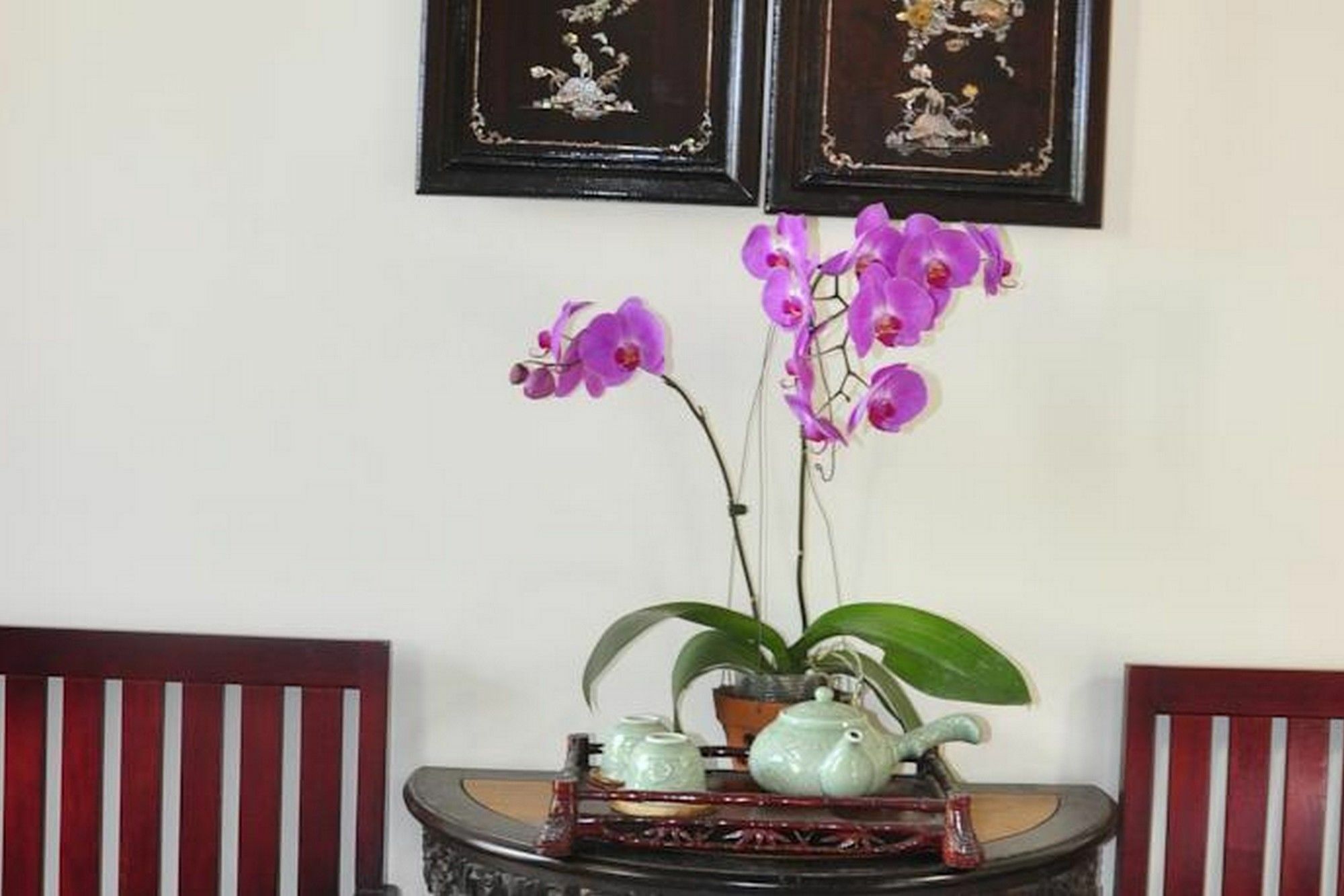 Bonsai Villa Hoi An Exteriör bild